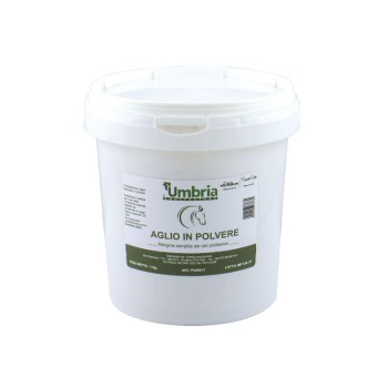 AMA POUDRE D'AIL POUDRE D'AIL (1 KG)