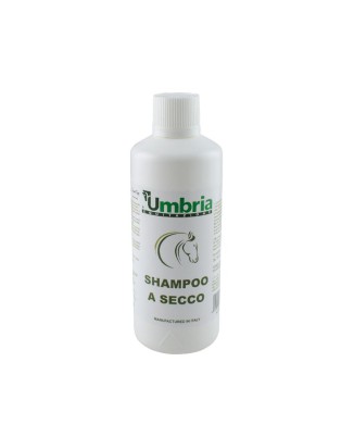 SHAMPOOING SEC AMADRY (500 ML)