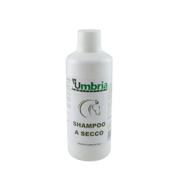 SHAMPOOING SEC AMADRY (500 ML)