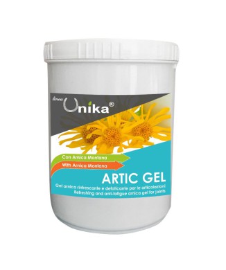 GEL ARTIQUE (1 KG) LU0081