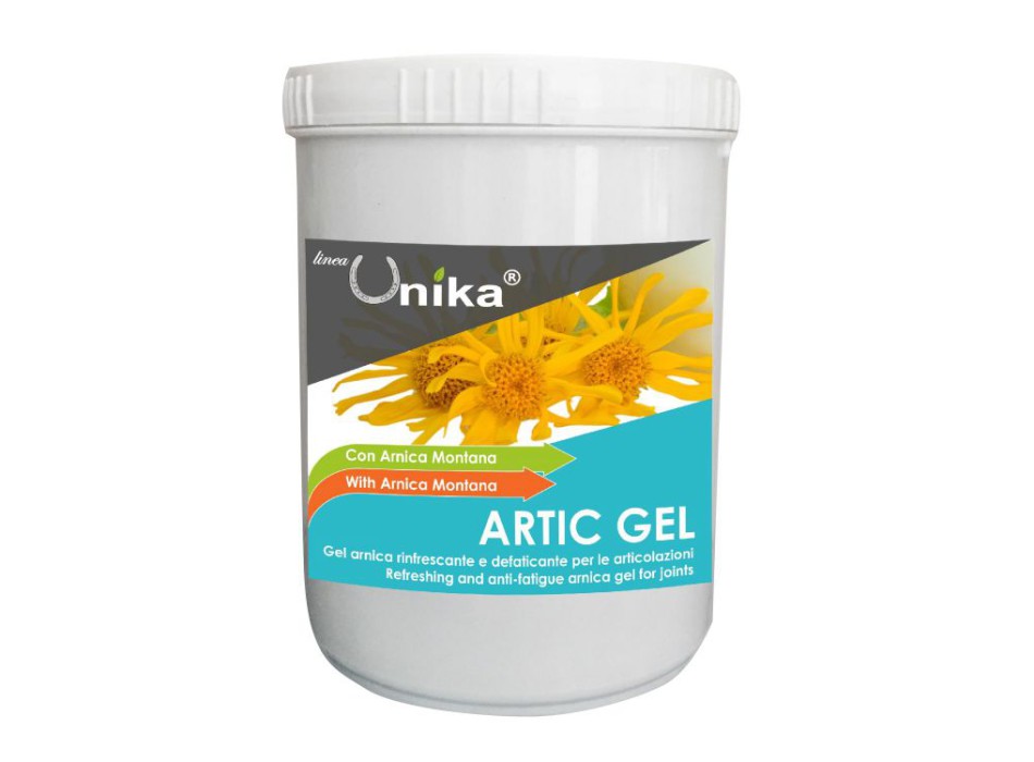 GEL ARTIQUE (1 KG) LU0081