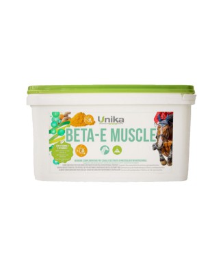 MUSCLE BÊTA-E (2 KG)