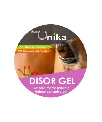 GEL DISOR (500 GR) LU0086