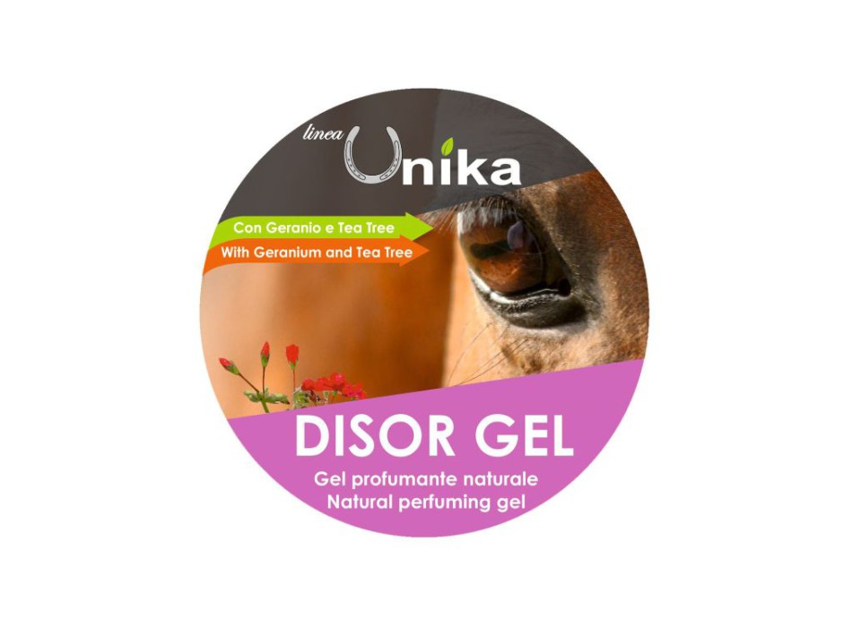 GEL DISOR (500 GR) LU0086