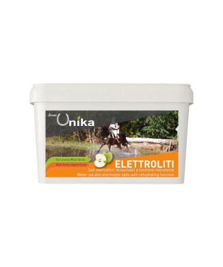 ÉLECTROLYTE D'ENDURANCE (1 KG) LU0020