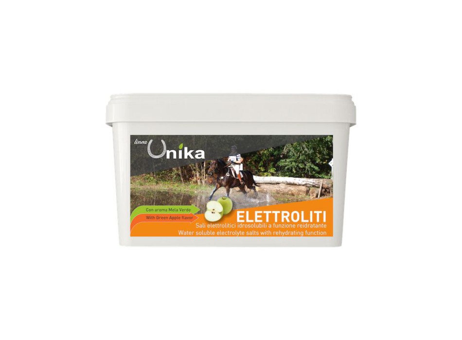 ÉLECTROLYTE D'ENDURANCE (1 KG) LU0020