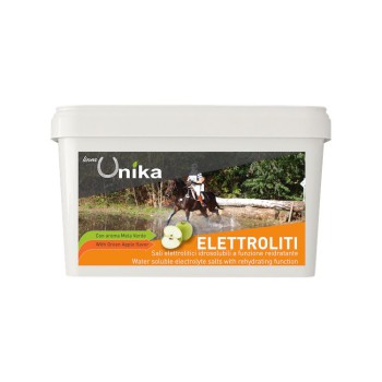 ÉLECTROLYTE D'ENDURANCE (3 KG) LU0021