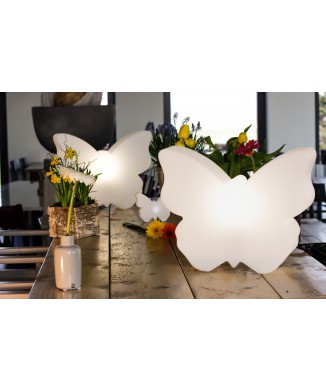 Papillon Brillant 40cm 32460 Design 8 Saisons