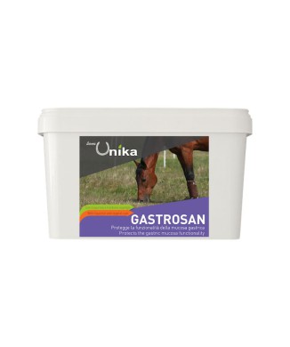 GASTROSAN (1,5 KG) LU0027