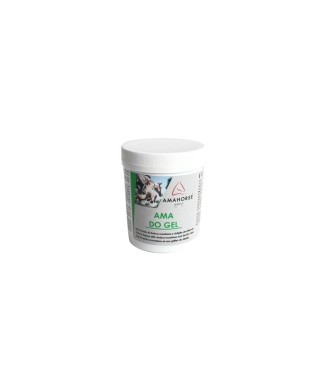 GEL ARNICA ET GRIFFE DU DIABLE 250GR