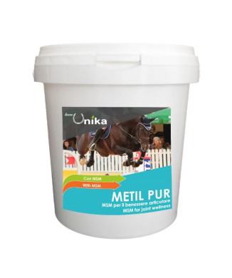 MÉTHYLE PUR (1 KG) LU0034