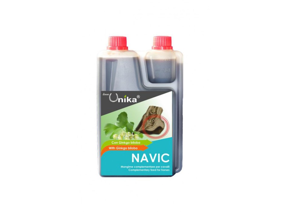 NAVIC (1,25 LT)