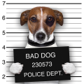 Quadro BAD DOG G2054 PINTDECOR