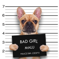 Quadro BAD GIRL G2052 PINTDECOR