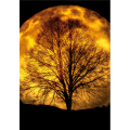 Cadre LIGHT OF MOON G5786 PINTDECOR