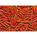 Cadre CHILES G2726 PINTDECOR