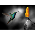 COLIBRI 2 peinture G3344 PINTDECOR