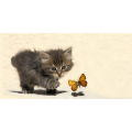 Cadre KITTEN ET PAPILLON G1588 PINTDECOR