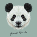 Cadre GIANT PANDA G3382 PINTDECOR