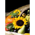 Cadre SUNFLOWER G2752 PINTDECOR