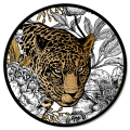 Cadre LEOPARDO GT6236 PINTDECOR