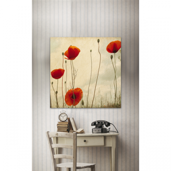 Cadre COQUELICOTS G1146 PINTDECOR