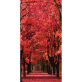 Tableau sur toile AUTUMN WALK G4122 PINTDECOR