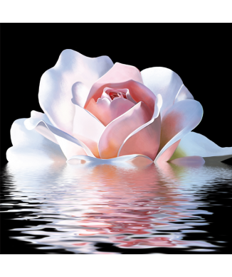 Peinture REFLET ROSE G2574 PINTDECOR