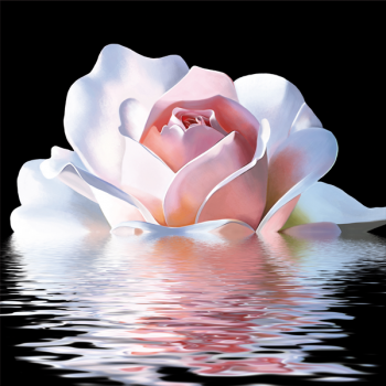 Peinture REFLET ROSE G2574 PINTDECOR