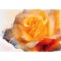 Cadre JAUNE ROSE G4240 PINTDECOR