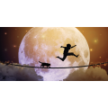 Quadro JUMPING ON THE MOON G2238 PINTDECOR