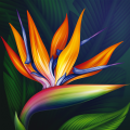 Cadre STRELITZIA G1114 PINTDECOR