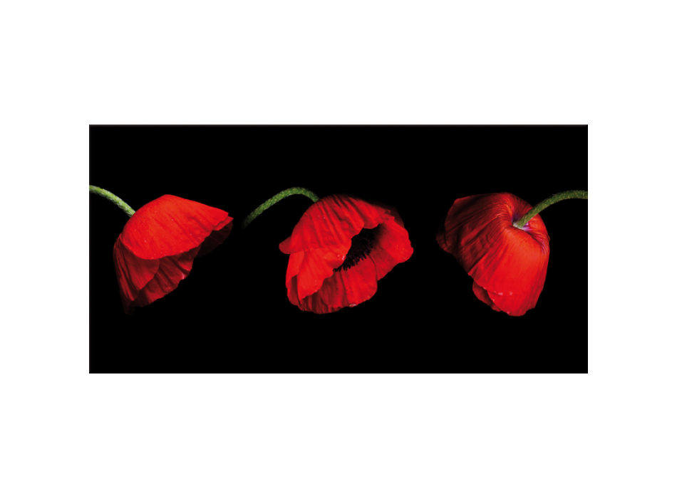 Image TROIS COQUELICOTS G2508 PINTDECOR