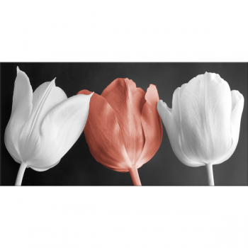 Cadre TULIPES G2520 PINTDECOR