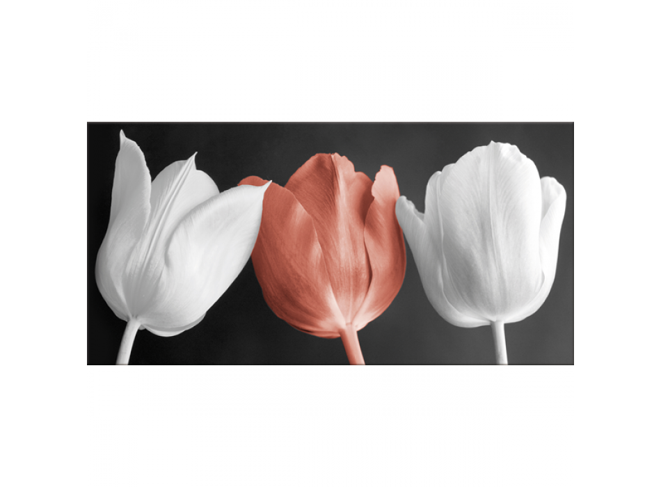 Cadre TULIPES G2520 PINTDECOR