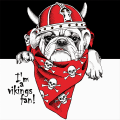 Cadre VIKINGS G3394 PINTDECOR