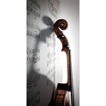 Cadre VIOLON G1498 PINTDECOR