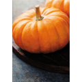 Cadre YELLOW PUMPKIN G2756 PINTDECOR