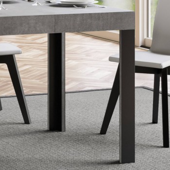 Table Linea - Table extensible 70x110/194 cm Linea Frêne Blanc structure Anthracite