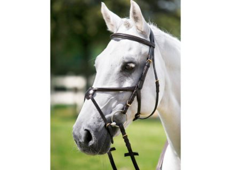 Tête de lit Tattini avec muserolle croisée